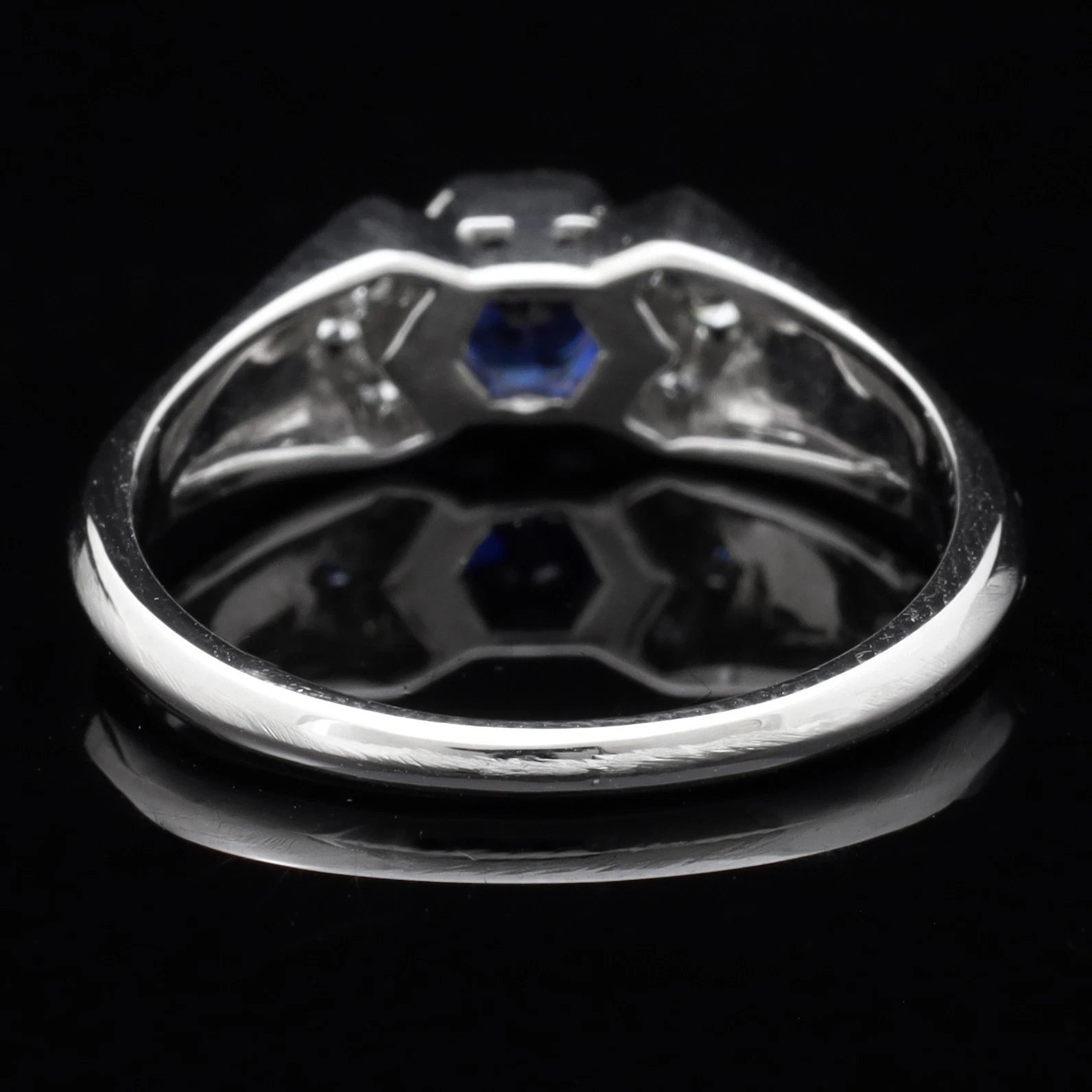 ANELLO SALVINI
