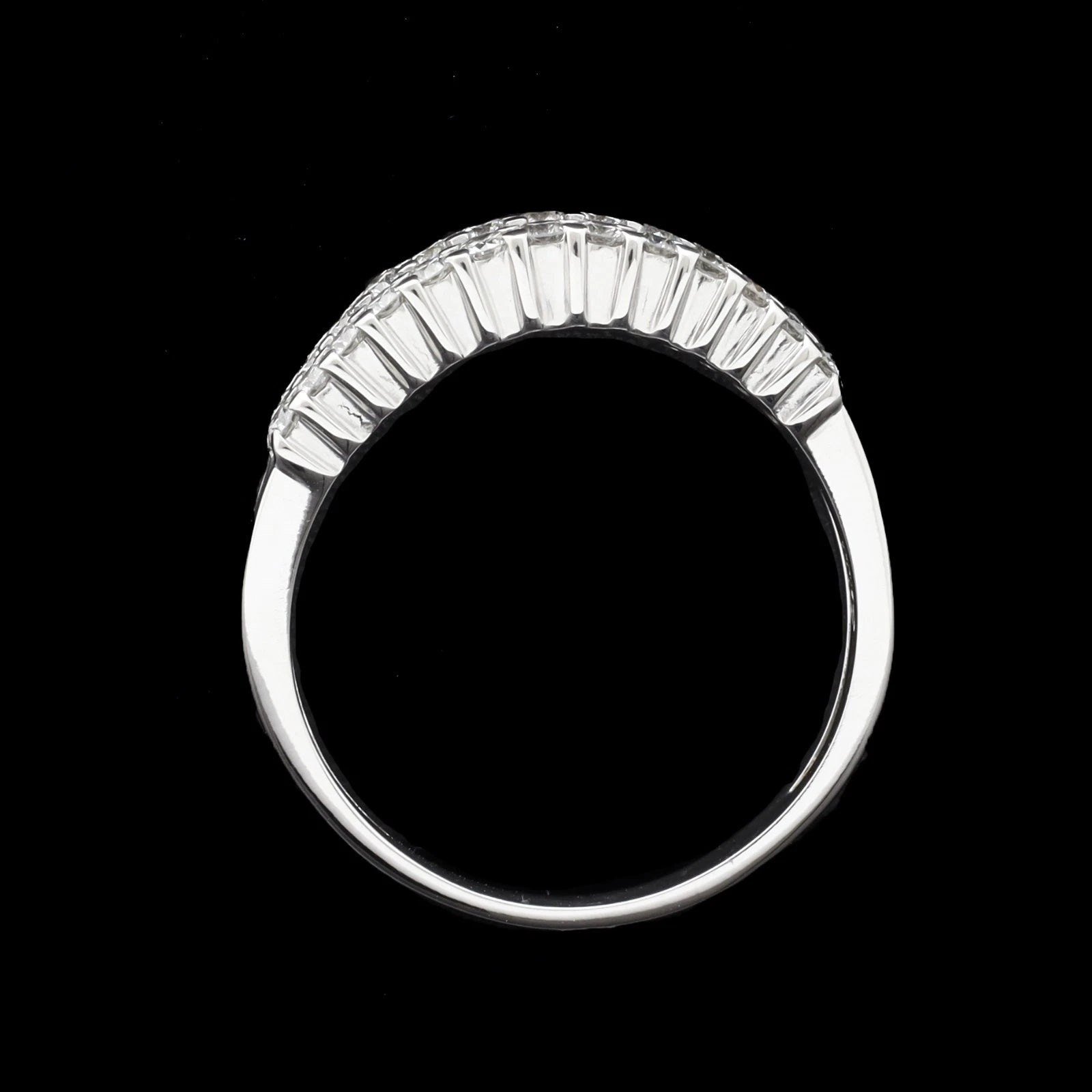 ANELLO A FASCIA SALVINI
