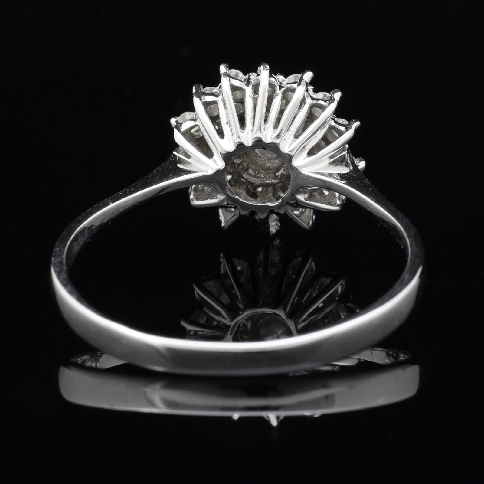 ANELLO ROSETTE