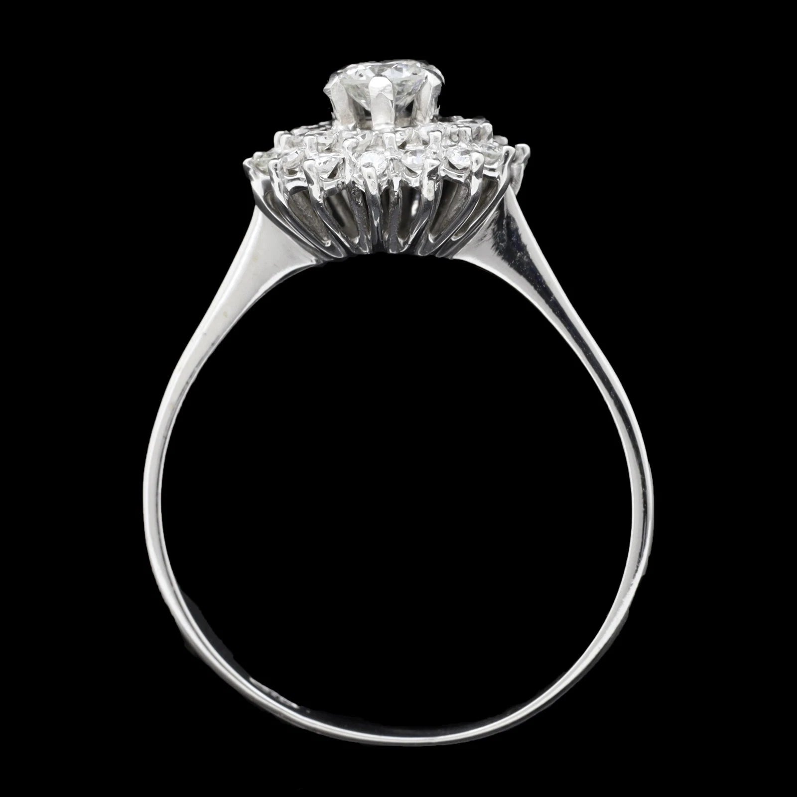 ANELLO ROSETTE