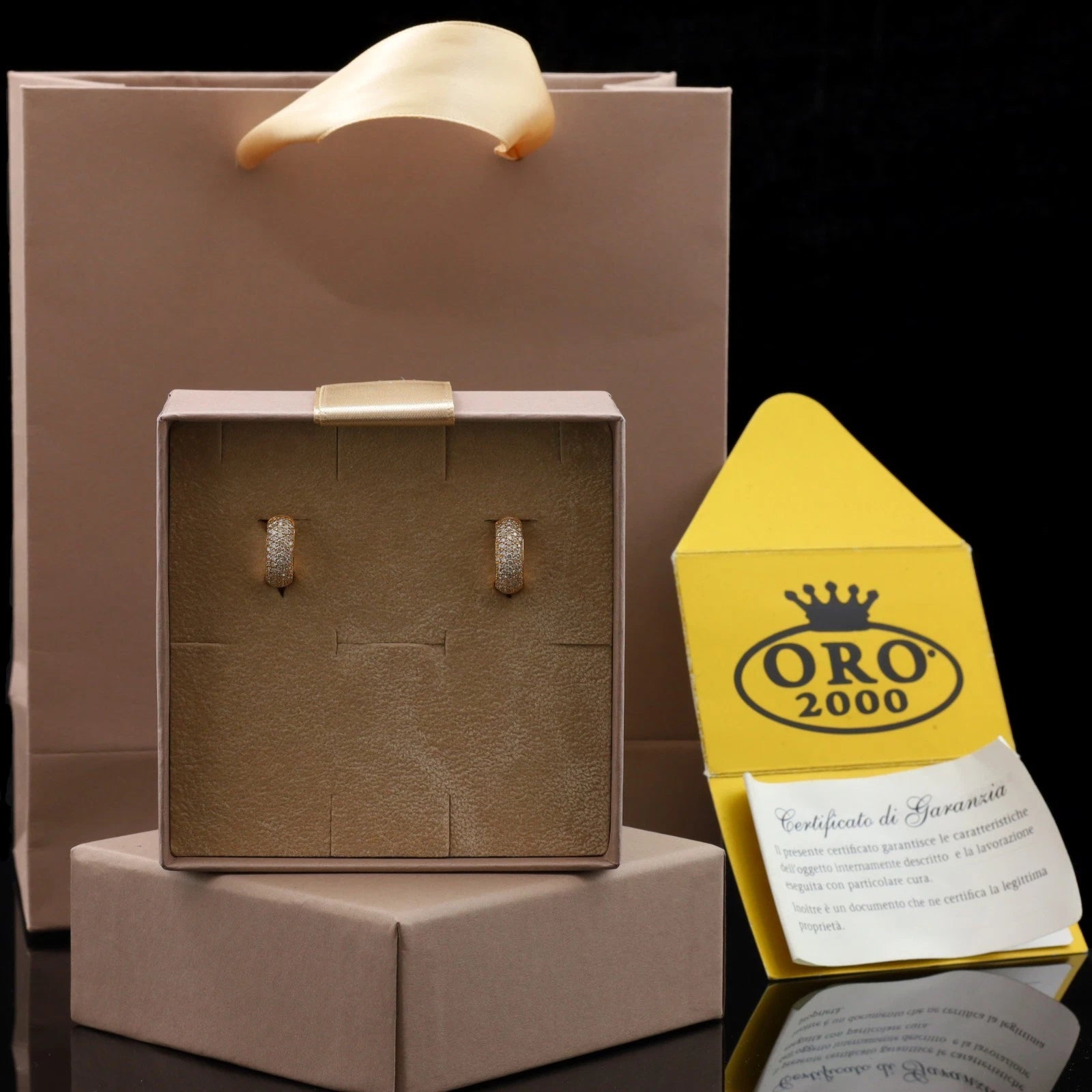 ORECCHINI A CERCHIO