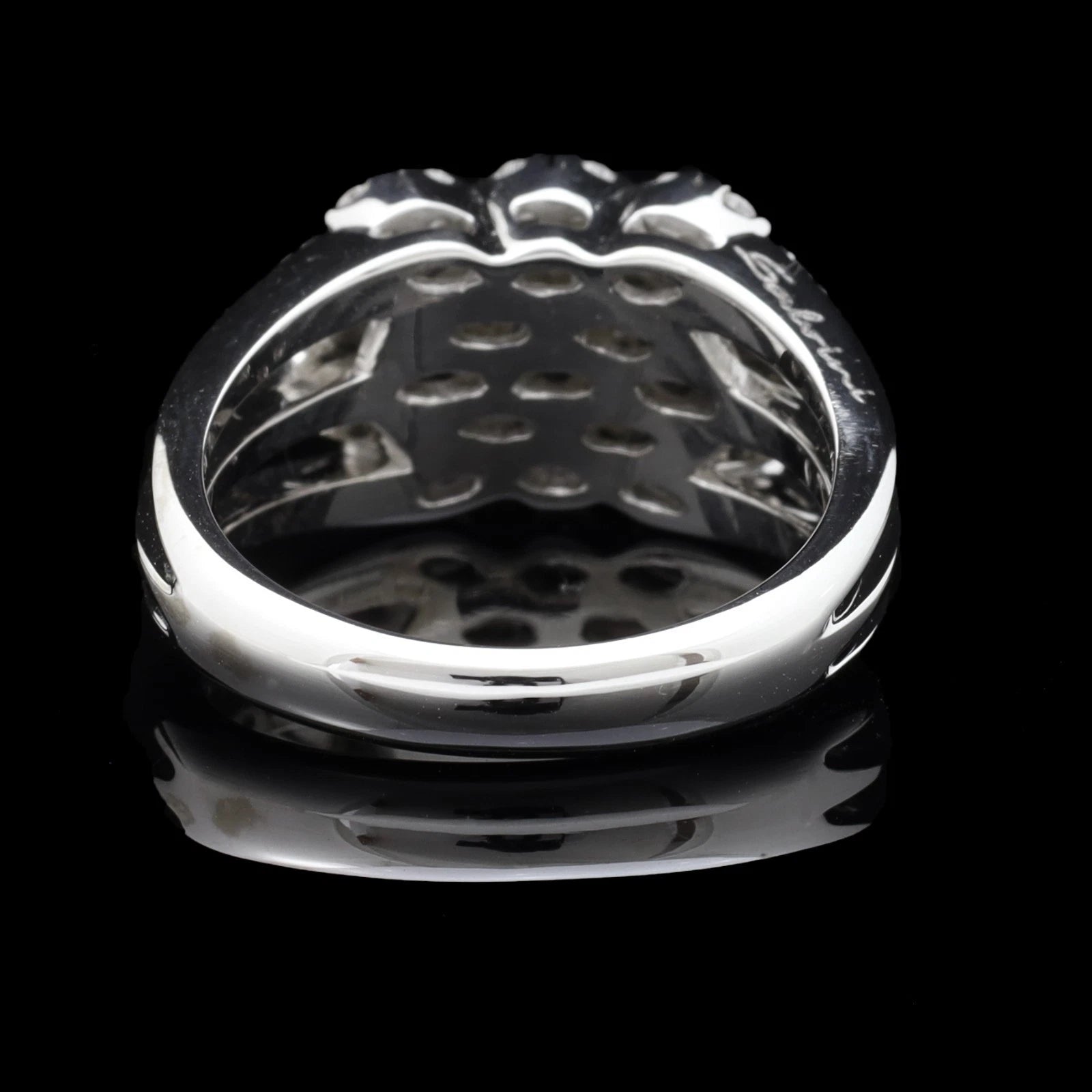 ANELLO SALVINI