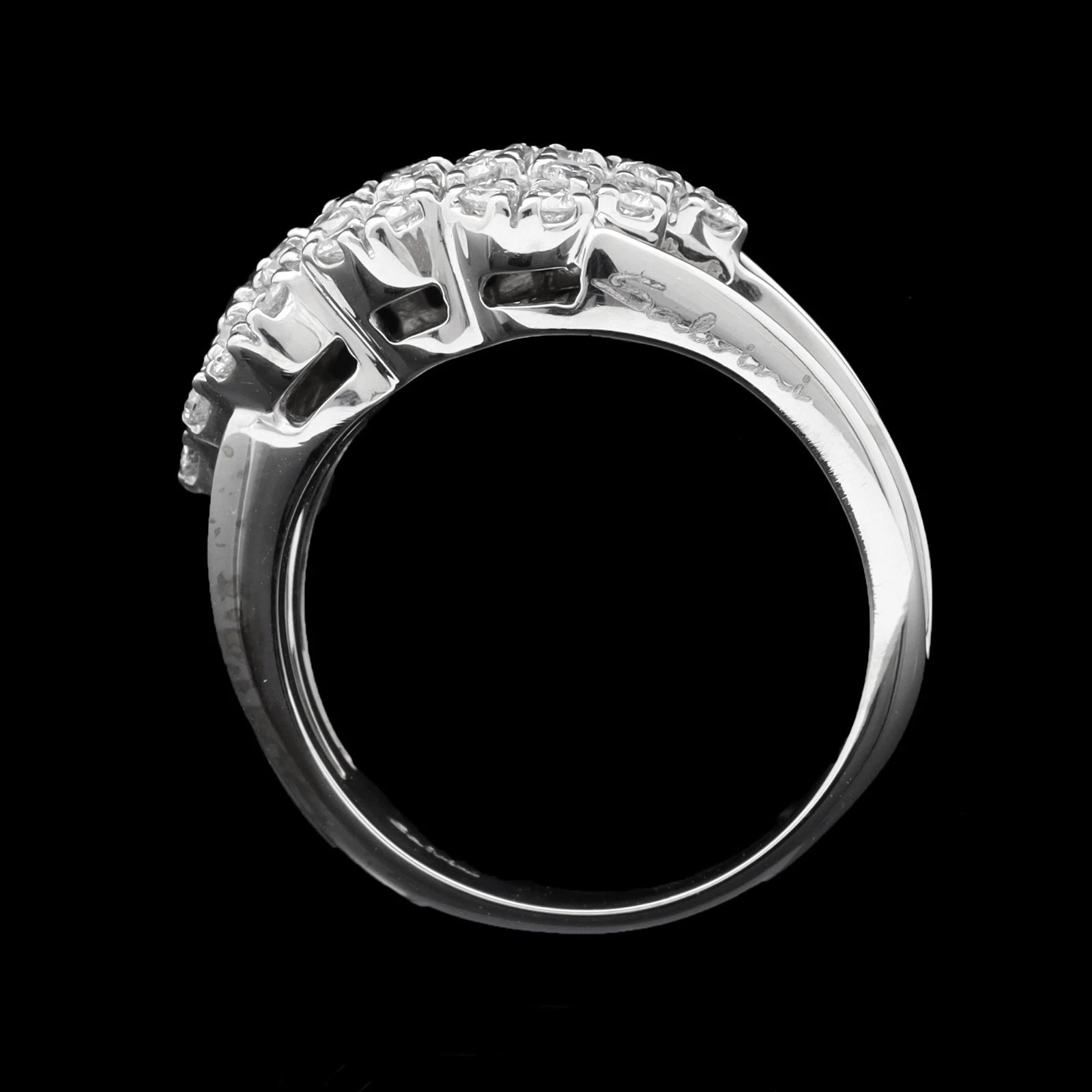 ANELLO SALVINI