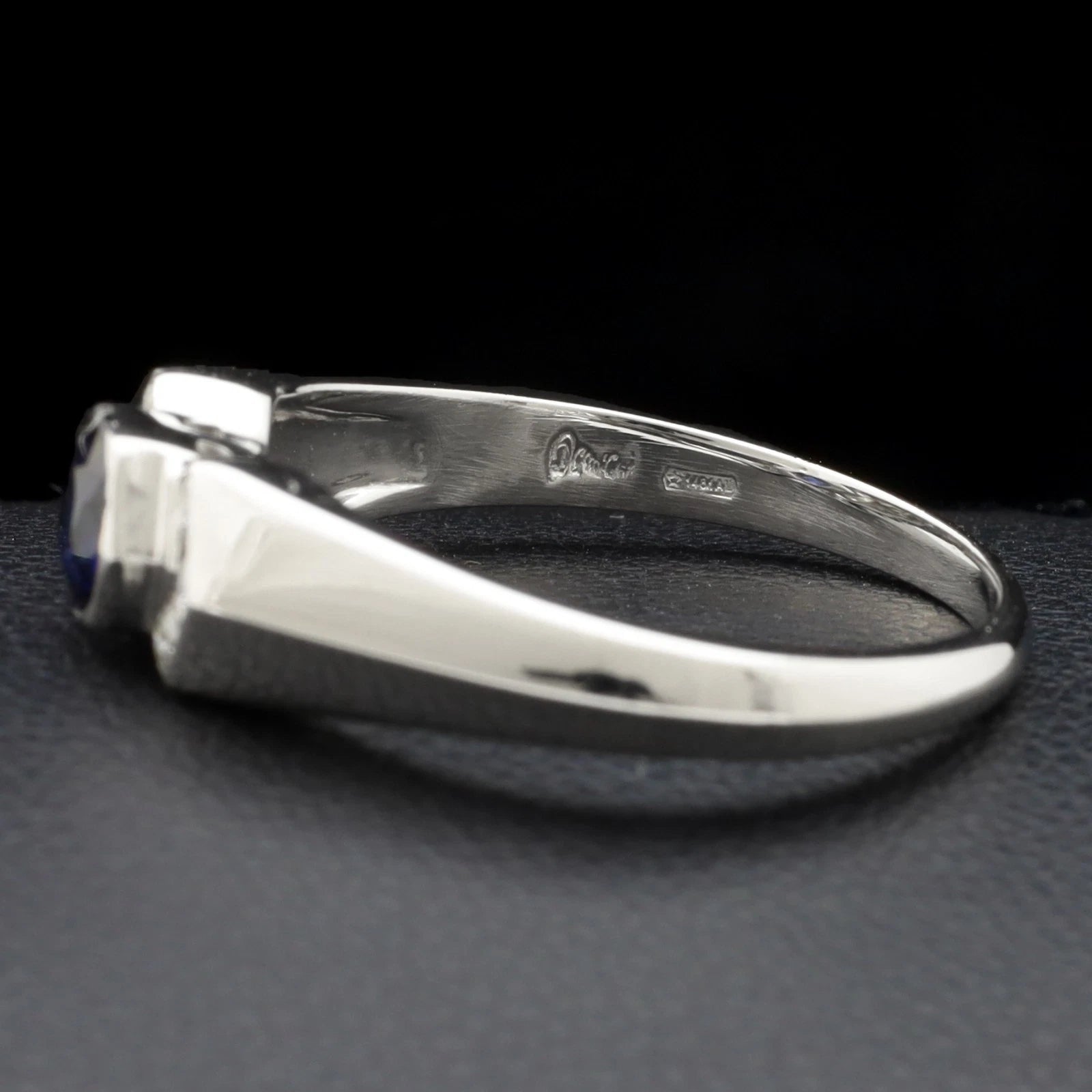 ANELLO SALVINI