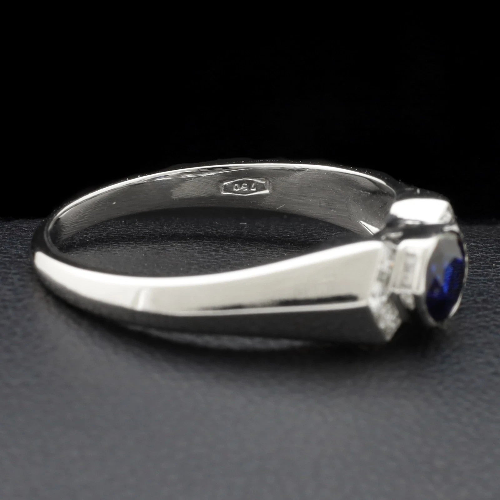 ANELLO SALVINI