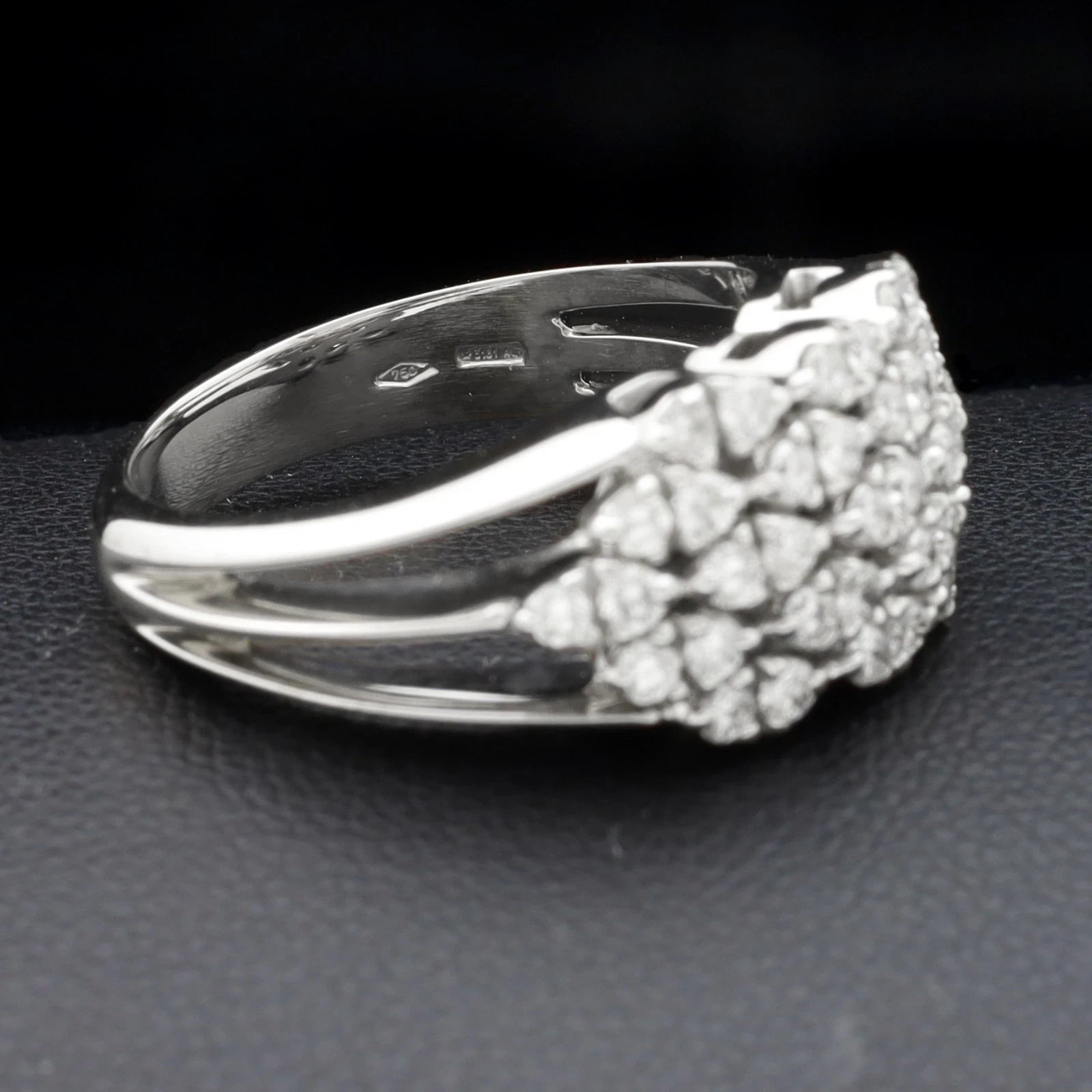 ANELLO SALVINI