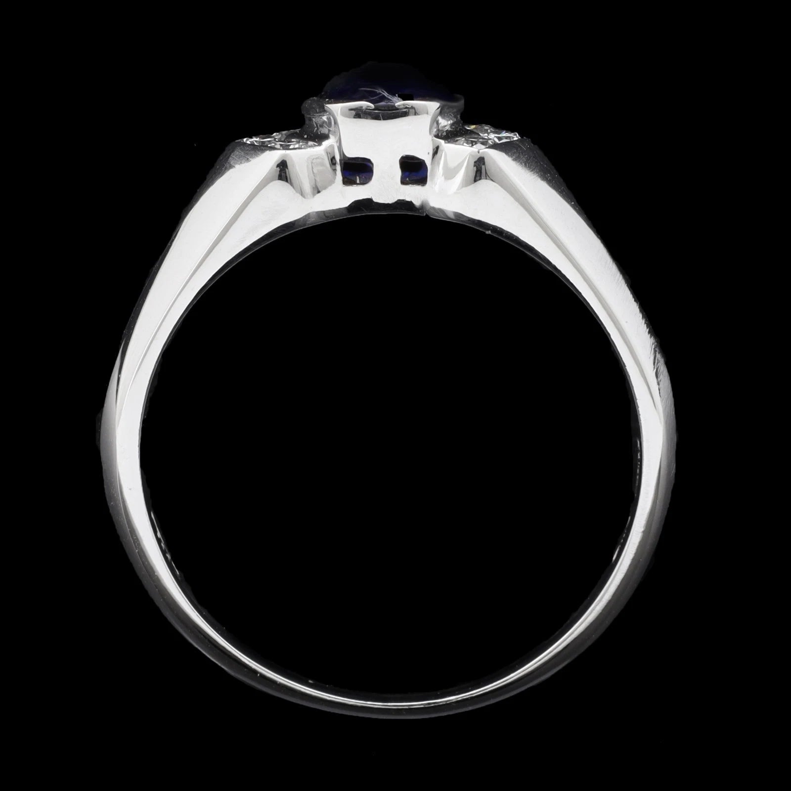 ANELLO SALVINI