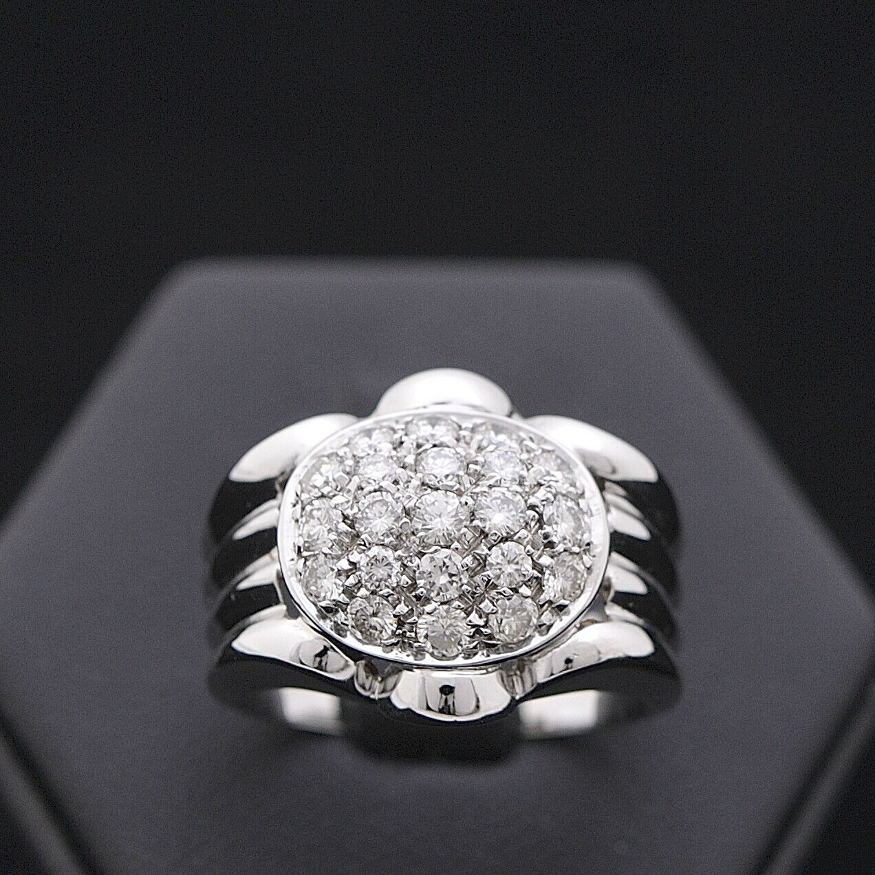 ANELLO TURTLE