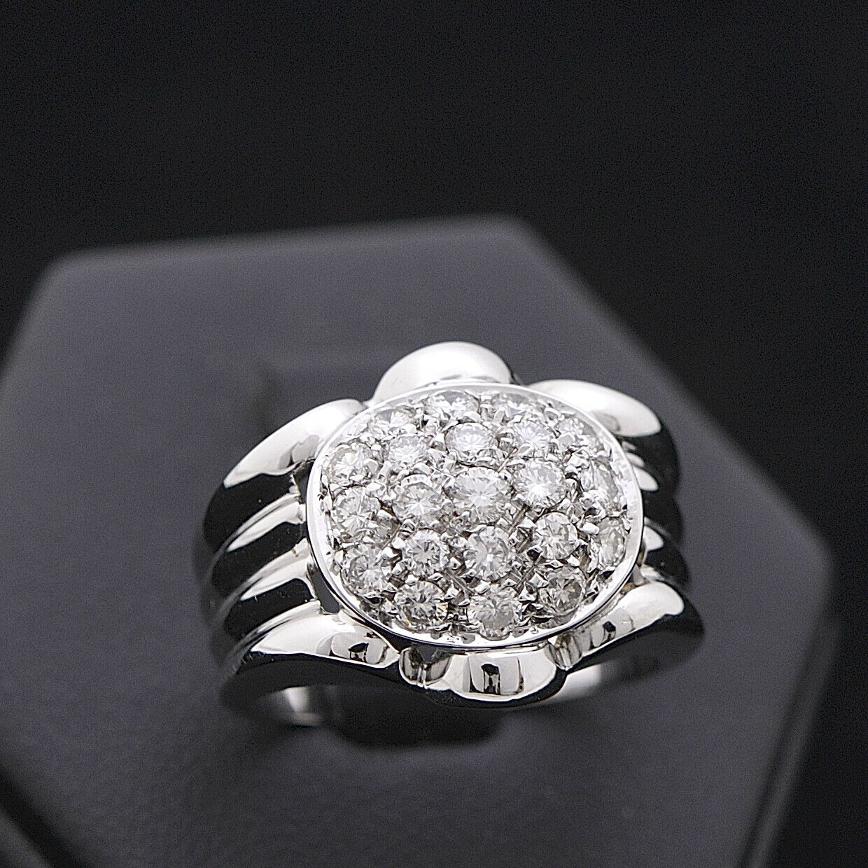 ANELLO TURTLE